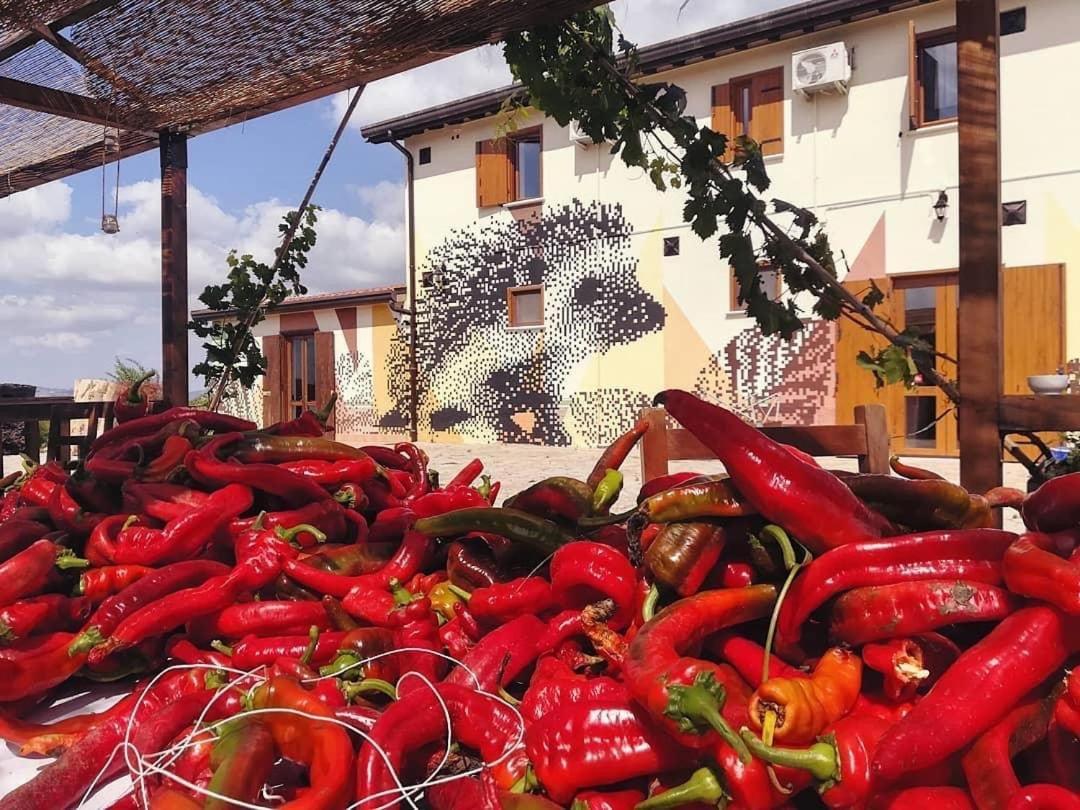 Il Riccio Monticchio (Basilicata)