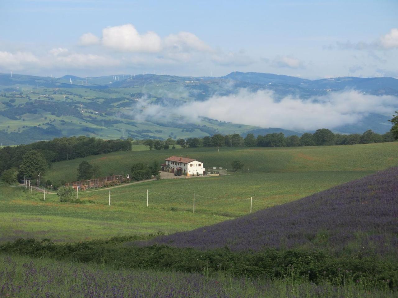 Bauernhof Il Riccio Monticchio (Basilicata)